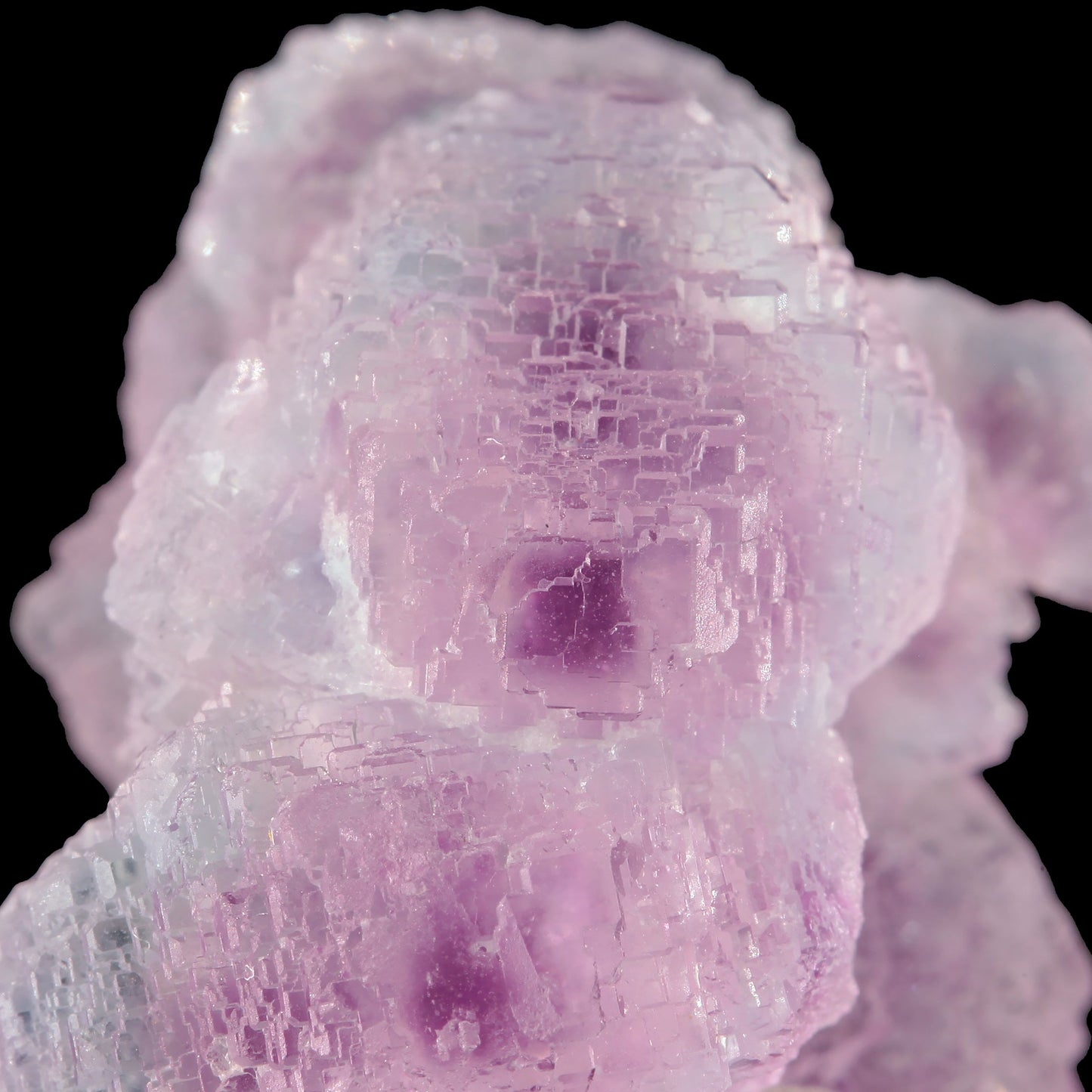 Fluorite
(GEM QUALITY bi-color “floater”)