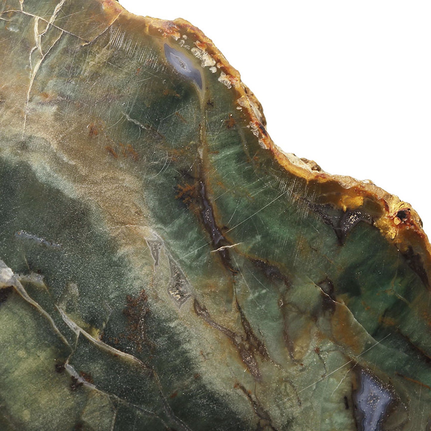 Petrified Wood with Banded Agate
(incredibly rare color)