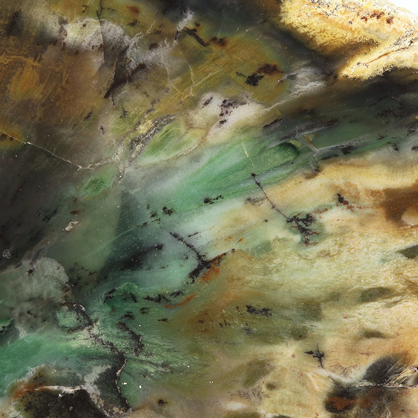 Petrified Wood with Banded Agate
(incredibly rare color)