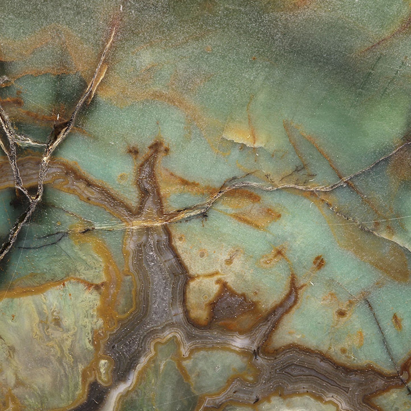 Petrified Wood with Banded Agate
(incredibly rare color)