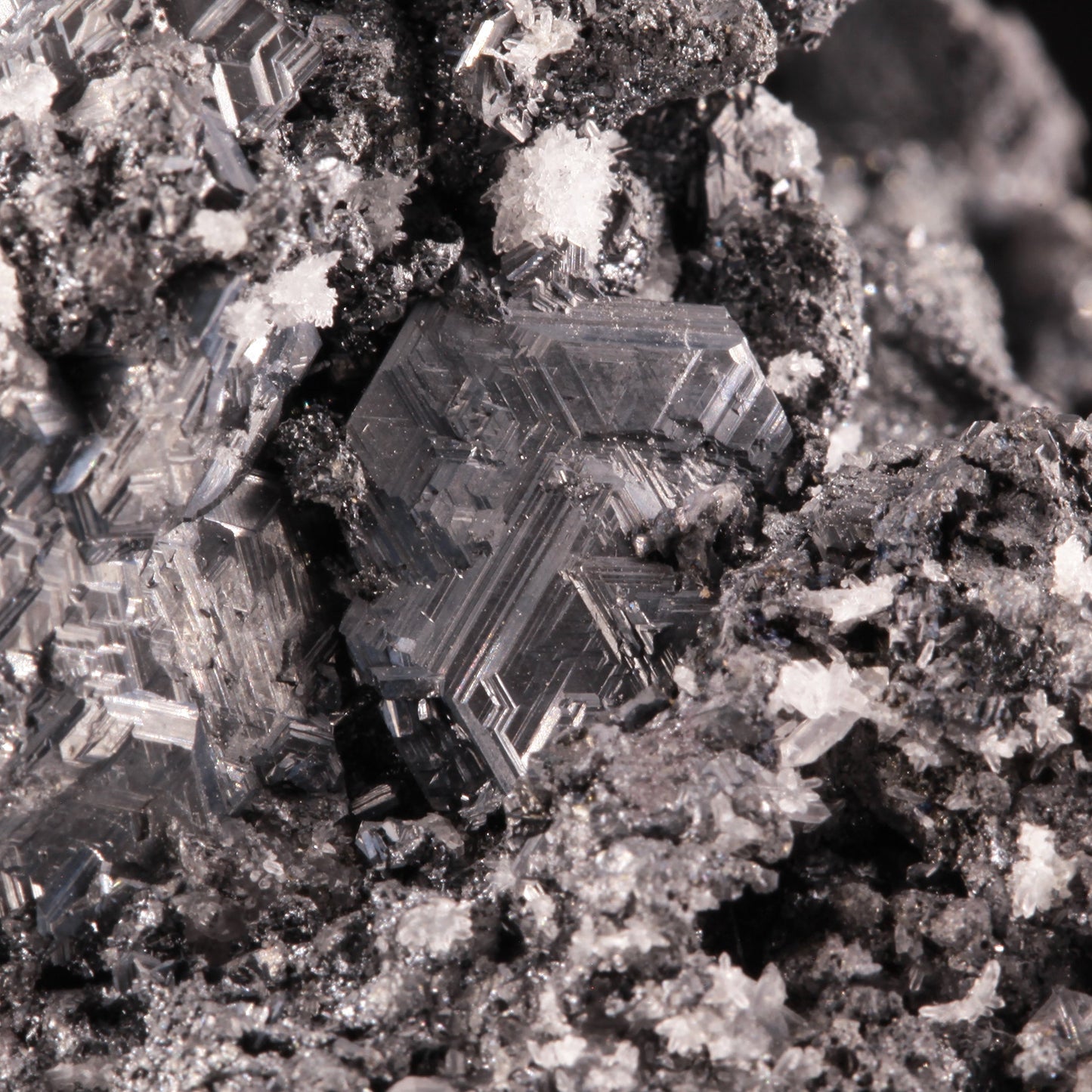 Polybasite
(pseudomorph after Acanthite)