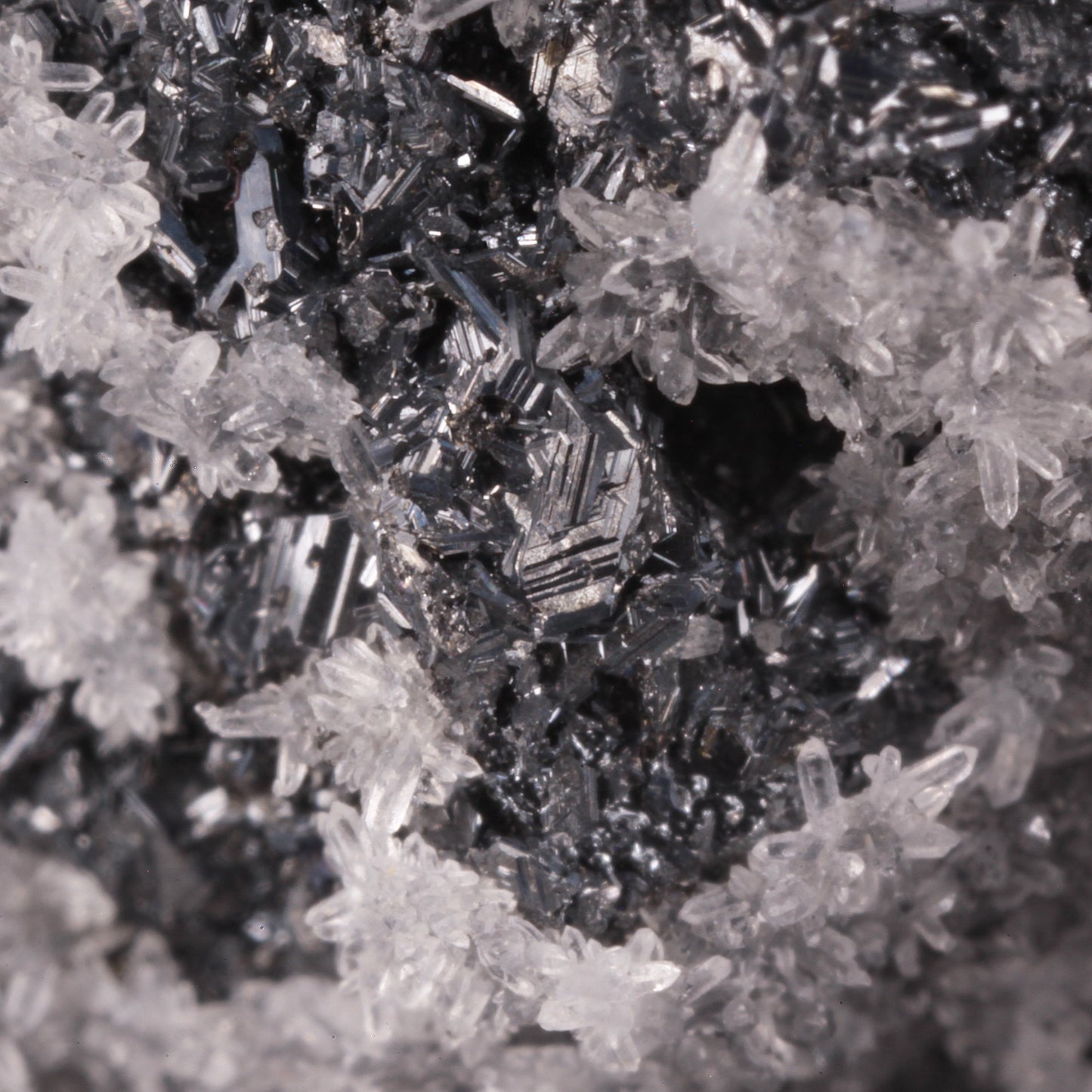 Polybasite
(pseudomorph after Acanthite)