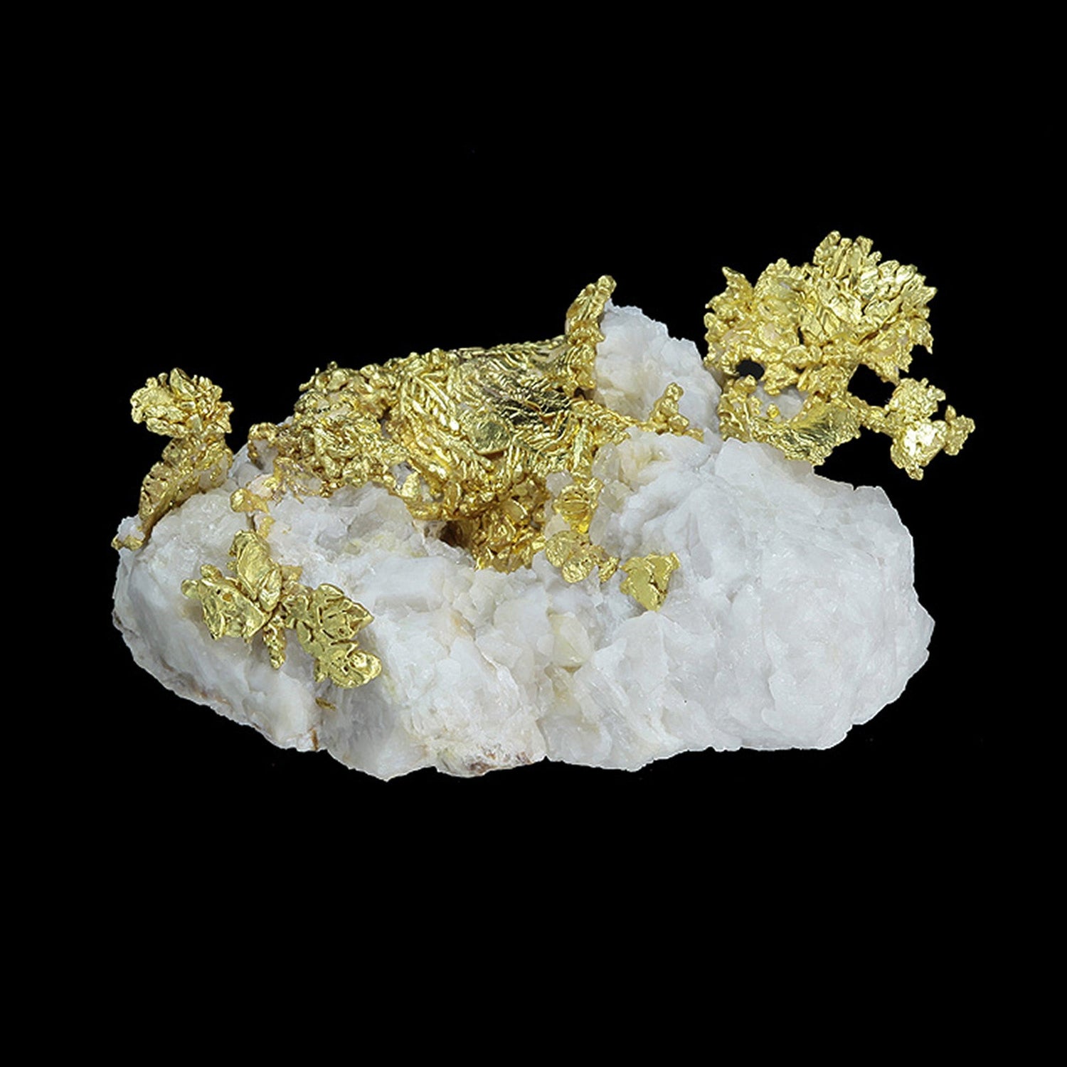 Gold Specimens