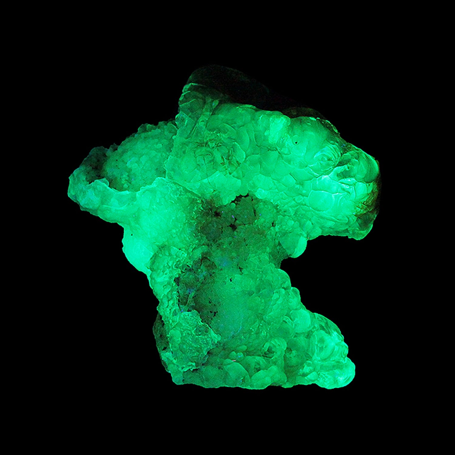 Fluorescent
