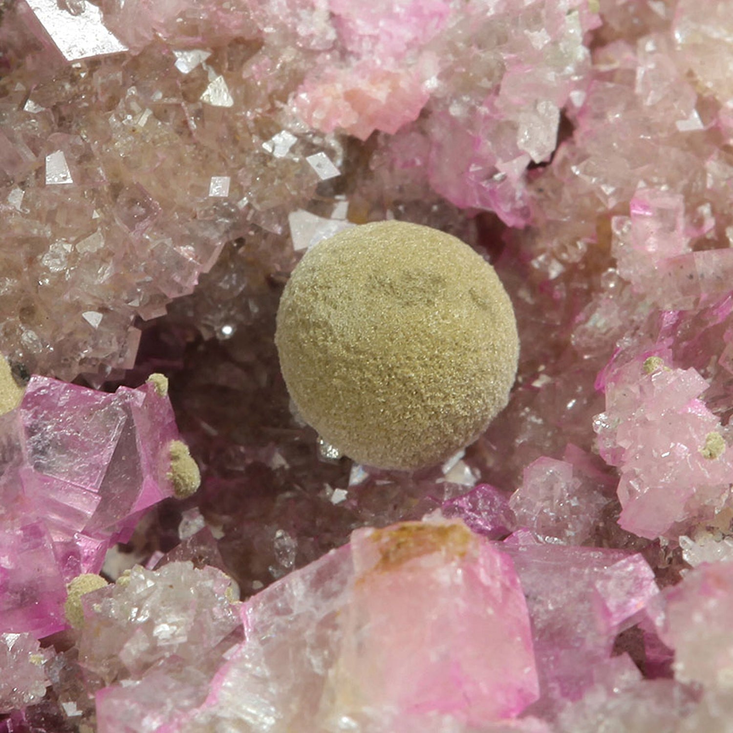 Rare Minerals
