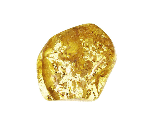 Copal / Young Amber with insect inclusions