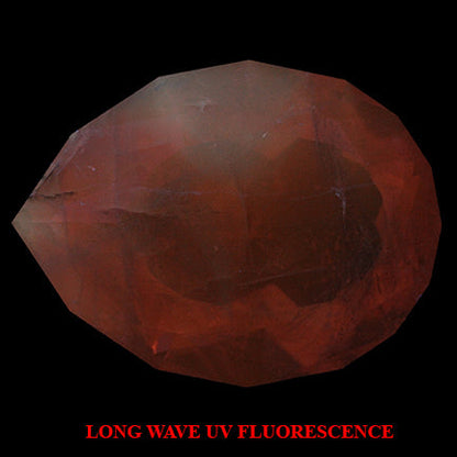 Sodalite var: Hackmanite 
Outstanding World-Class Incredibly Large Rare Orange Color Fluorescent/Tenebrescent