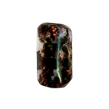 Opal in Petrified Wood 
(Opalized Wood)