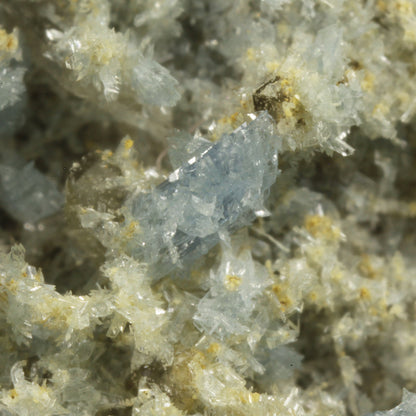 Vauxite with Paravauxite, Metavauxite and Sigloite