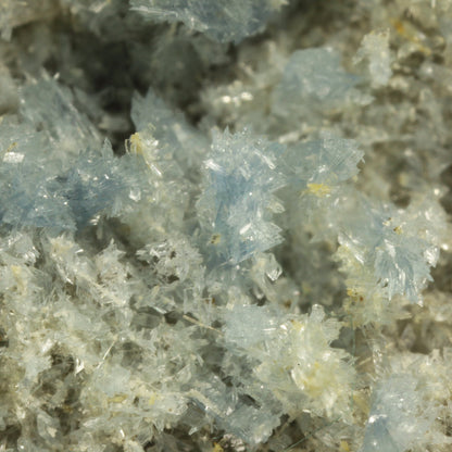 Vauxite with Paravauxite, Metavauxite and Sigloite