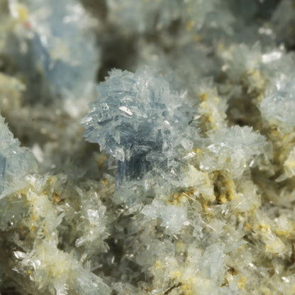 Vauxite with Paravauxite, Metavauxite and Sigloite