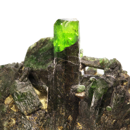Diopside 
(Chromian Diopside)