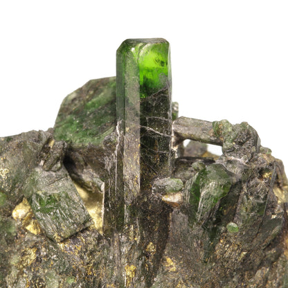 Diopside 
(Chromian Diopside)