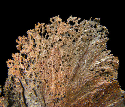 Copper 
(leaf-like specimen)