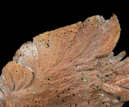 Copper 
(leaf-like specimen)