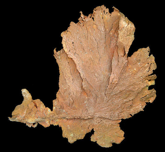 Copper 
(leaf-like specimen)
