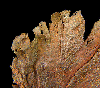 Copper 
(leaf-like specimen)