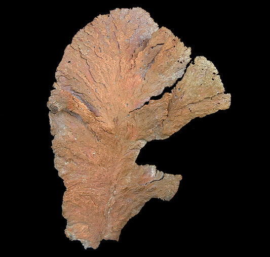 Copper 
(leaf-like specimen)