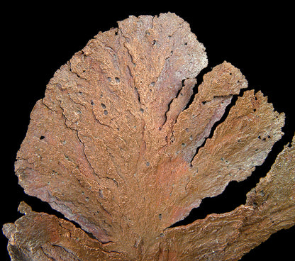 Copper 
(leaf-like specimen)