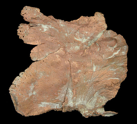 Copper 
(leaf-like specimen)