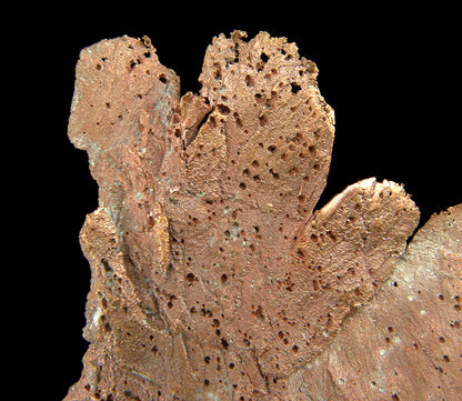 Copper 
(leaf-like specimen)