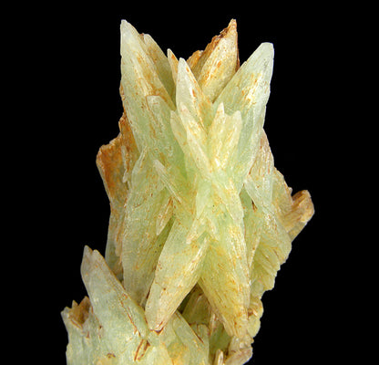 Phosphophyllite