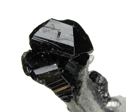 Cassiterite on matrix