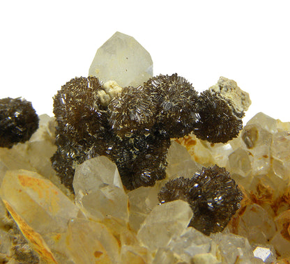 Childrenite on Quartz