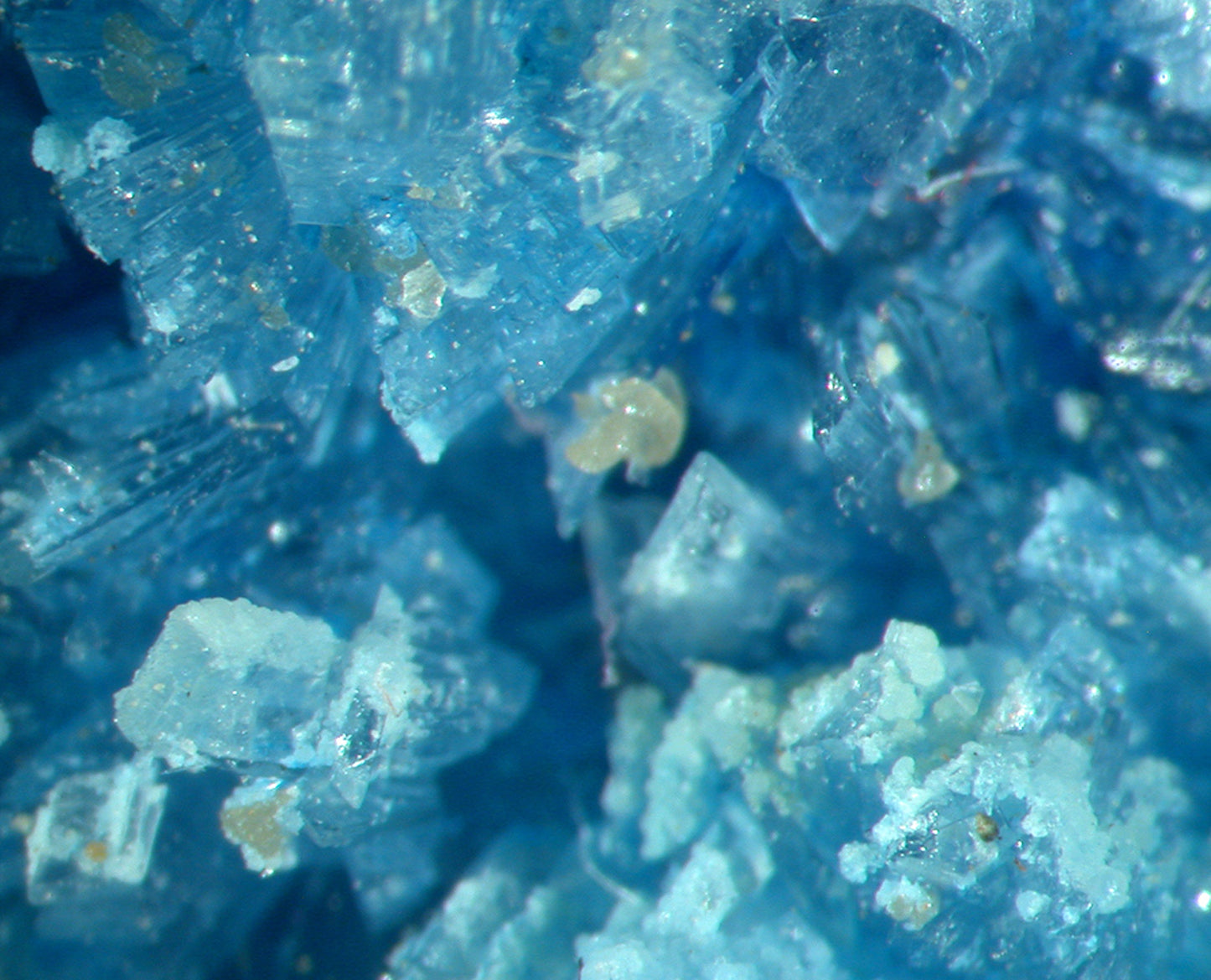 Vauxite 
(outstanding color!)