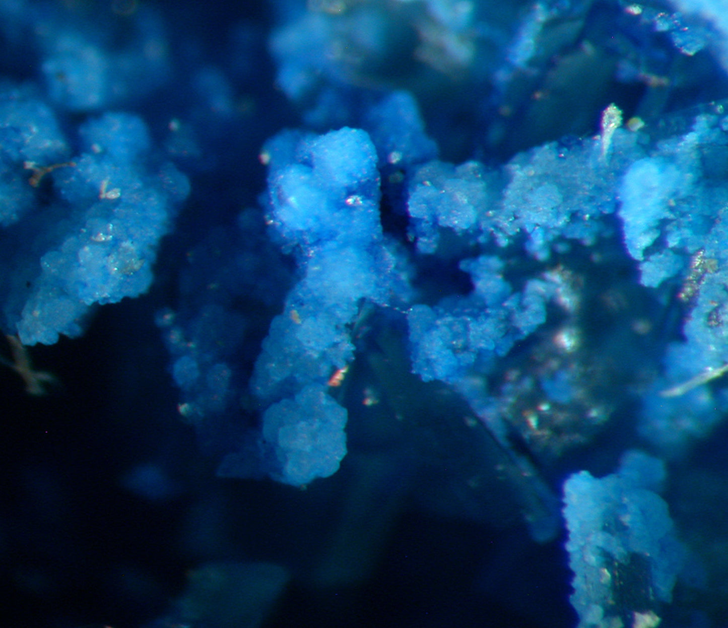 Vauxite 
(outstanding color!)