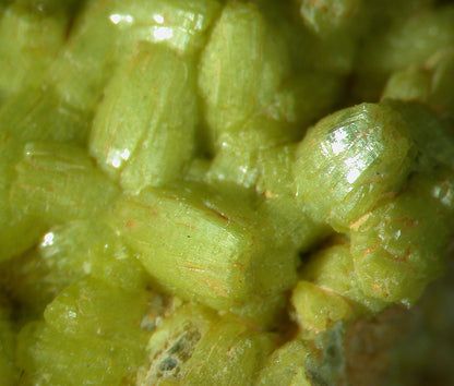 Pyromorphite 
(rare from Bolivia)
