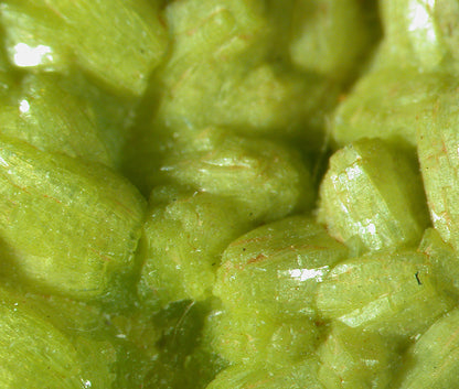 Pyromorphite 
(rare from Bolivia)