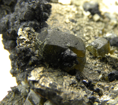 Pyrite (replacing Siderite) with Siderite and Stannite