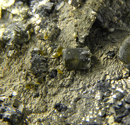 Pyrite (replacing Siderite) with Siderite and Stannite