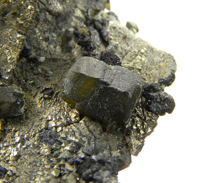 Pyrite (replacing Siderite) with Siderite and Stannite