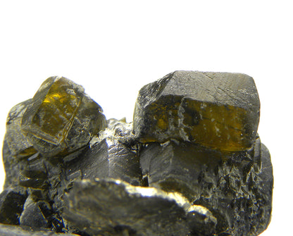 Siderite with Pyrite (replacing Siderite)