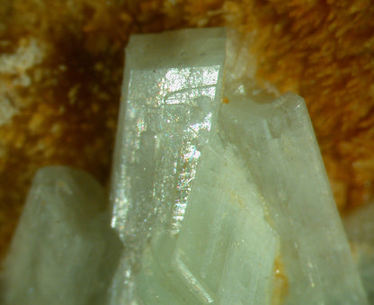 Paravauxite with Sigloite