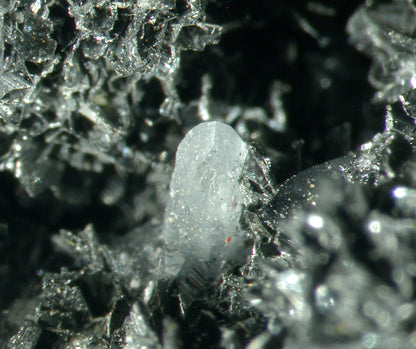 Franckeite 
(rare matrix specimen)