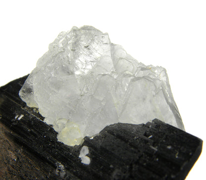Hubnerite with Fluorite 
(rare locality specimen)