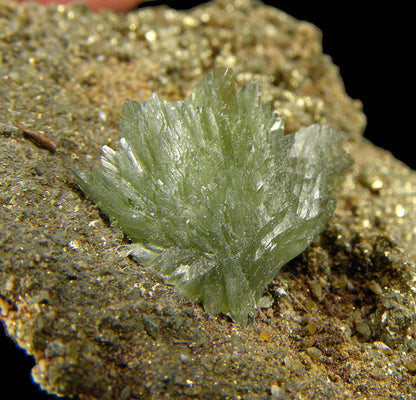 Ludlamite on Pyrite
