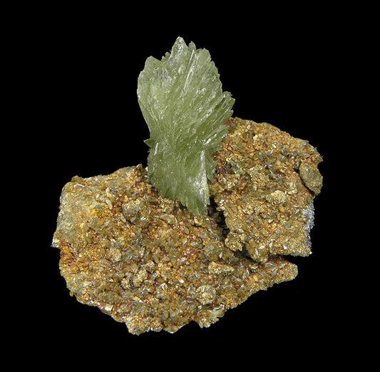 Ludlamite with Vivianite on matrix