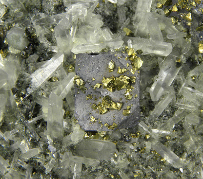 Galena with Chalcopyrite and Quartz