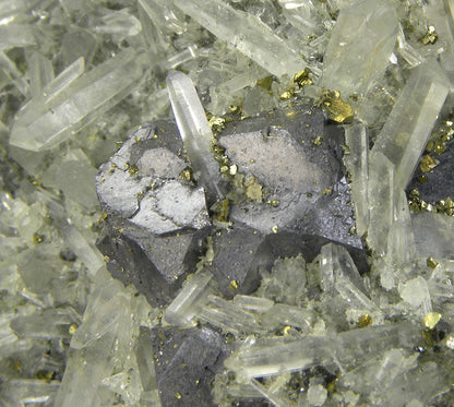 Galena with Chalcopyrite and Quartz