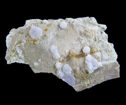 Creedite
