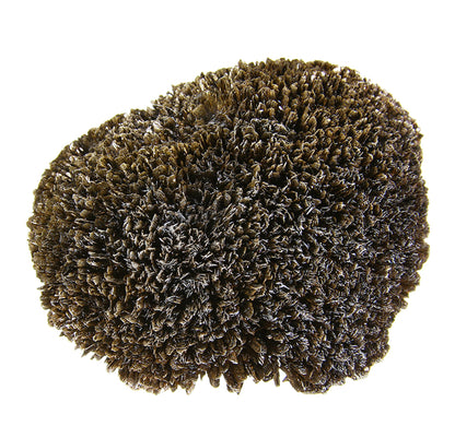 Goethite with Quartz (var: Smoky)