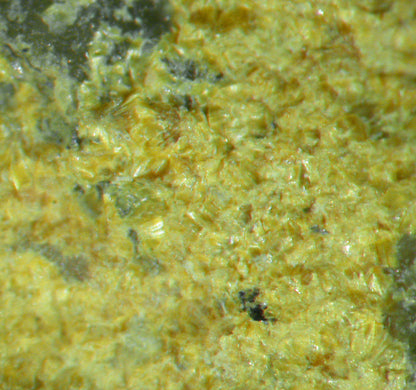 Ferrimolybdite / Molybdite