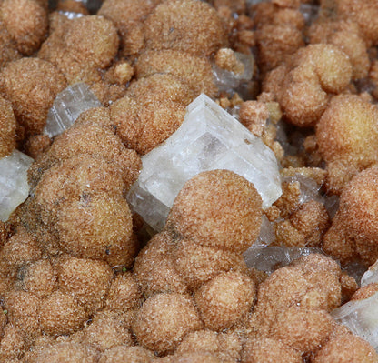 Calcite with Siderite