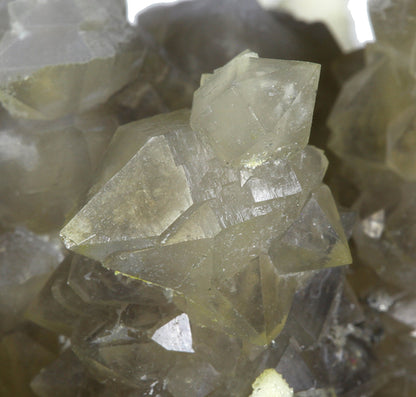 Chalcedony on Smoky Quartz “casts” after Laumontite