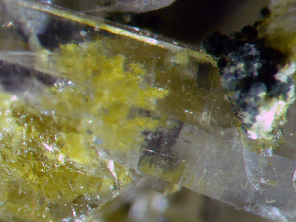 Quartz with Epidote