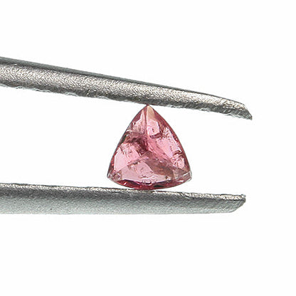 Eudialyte